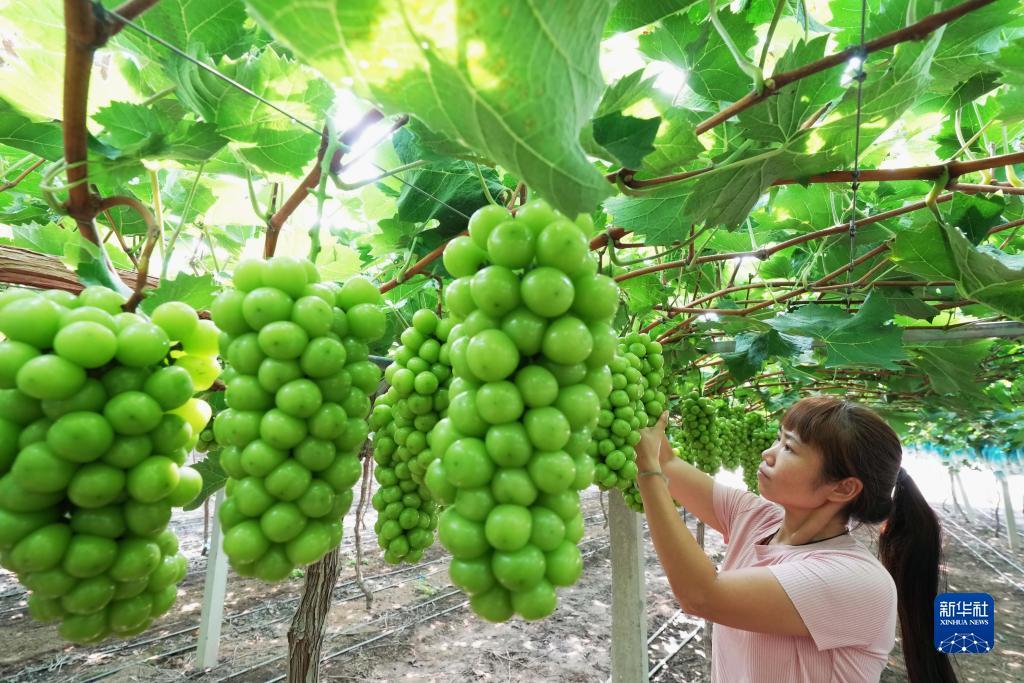 棋牌娱乐送金